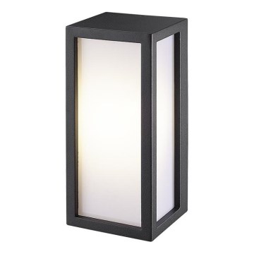 Aplică LED de exterior BETULLA LED/18W/230V IP54 Gardino LX5705-LED