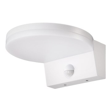 Aplică LED de exterior cu senzor NOVARA LED/15W/230V IP65 alb Top Light