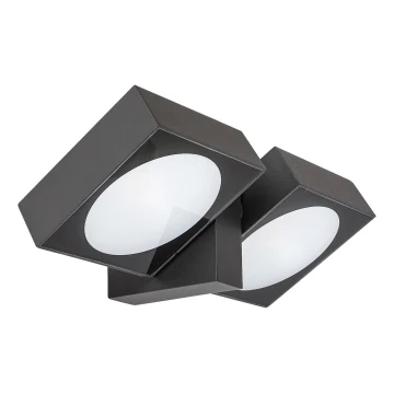 Aplică LED de exterior Rabalux 2xLED/7W/230V IP54 antracit