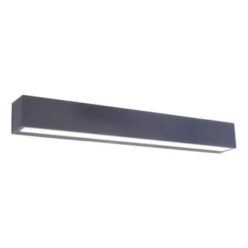 Aplică LED de exterior ROBERT 2xLED/18,5W/230V IP65 Paul Neuhaus 9676-13