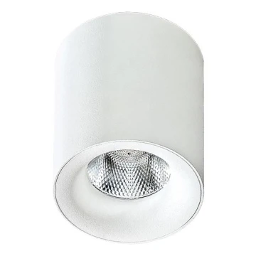 Azzardo AZ2845 - Plafonieră LED MANE 1xLED/10W/230V