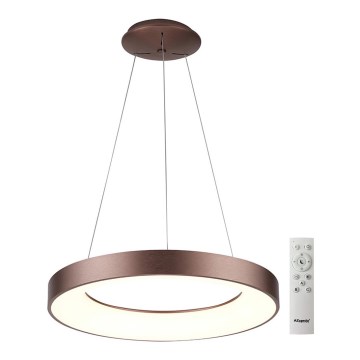 Azzardo AZ5011 - Lustră LED dimabilă pe cablu SANTANA LED/80W/230V maro + control la distanță