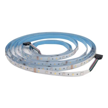 Bandă LED RGBW pentru baie DAISY 5m alb rece IP65