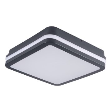 Corp de iluminat LED de exterior Brilagi BENE LED/18W/230V 22x22 cm antracit IP54