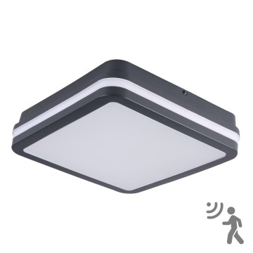 Corp de iluminat LED de exterior cu senzor Brilagi BENE LED/18W/230V 22x22 cm IP54