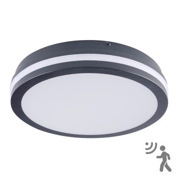 Corp de iluminat LED de exterior cu senzor Brilagi BENE LED/24W/230V d. 26 cm IP54