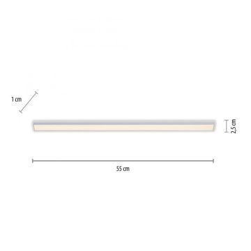 Corp de iluminat LED pentru mobilier de bucătărie AMON LED/6W/12/230V Paul Neuhaus 1125-21-A