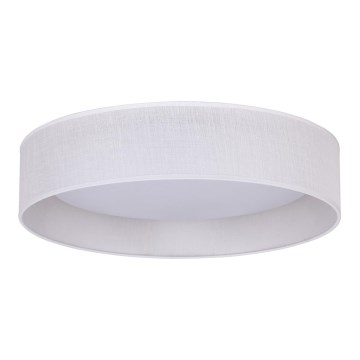 Duolla - Plafonieră LED ROLLER LED/24W/230V alb