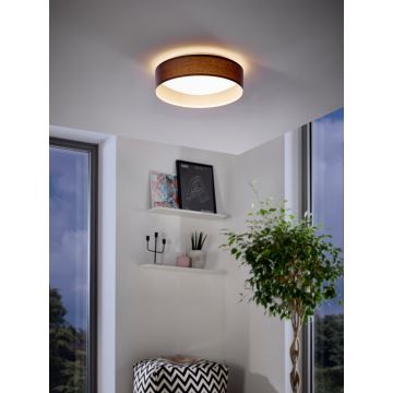 Eglo - LED Plafoniera LED/11W/230V