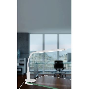 Eglo - LED Lampă cu clips LED/4,5W/230V alb