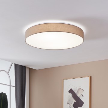 Eglo - LED Plafonieră dimmabilă LED/60W/230V