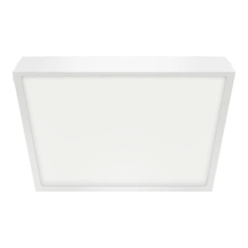 Emithor 49040 - Plafonieră LED pentru baie LENYS LED/18W/230V 190 mm IP44