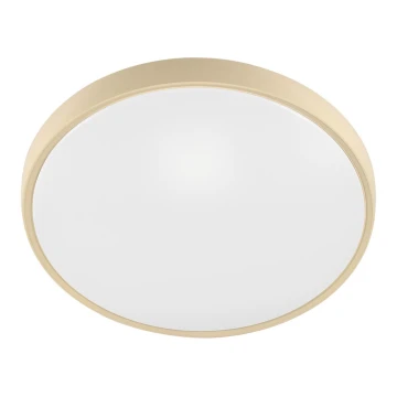 Fulgur 27480 - Cadru cu difuzor pentru lampă VERA 420 GOLD