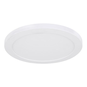 Globo - Plafonieră LED LED/24W/230V