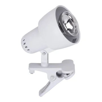 Lampă cu clemă CLIP 1xE14/40W/230V albă Rabalux