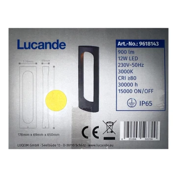 Lampă LED de exterior FENTI LED/12W/230V IP65 Lucande