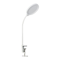 Lampă LED dimabilă de masă Ecolite LIPA LED/10W/230V 3000-6000K alb