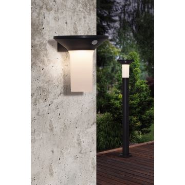 Lampă LED solară de exterior cu senzor 6xLED/0,03W/3,7V IP44 Eglo