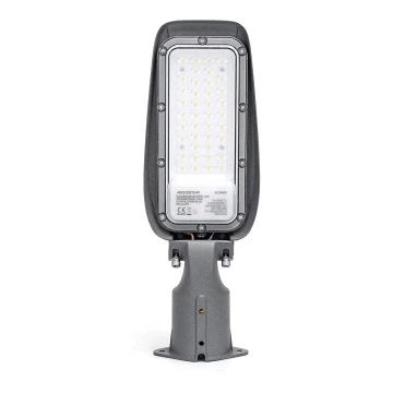 Lampă LED stradală Aigostar LED/30W/230V 6500K IP65