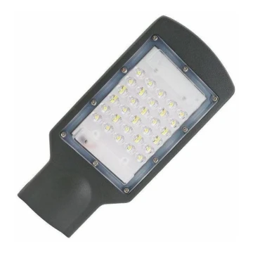 Lampadar LED stradal LED/30W/230V IP67