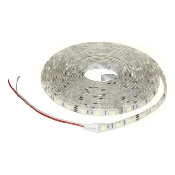 LED benzi cu LED-uri 5m rece alb