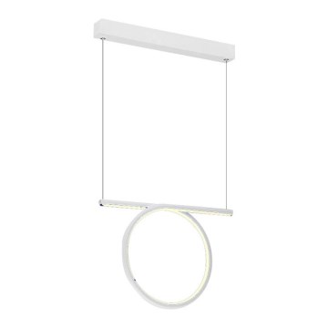 LED Lustră pe cablu LOOP LED/20W/230V alb