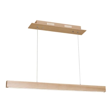 LED Lustră pe cablu TIMBER LED/18W/230V