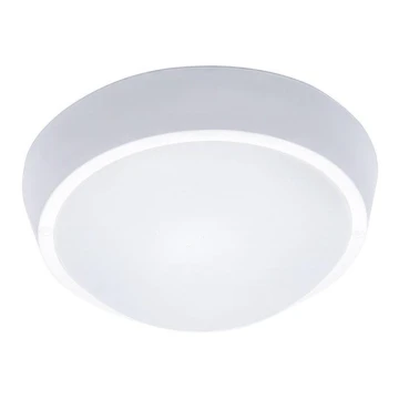 LED Plafonieră exterior 1xLED/30W/230V  IP65