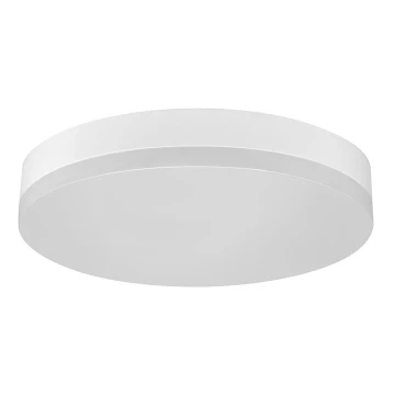 LED Plafonieră LED/12W/230V IP44