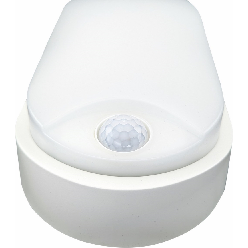 LED Plafonieră LED/14W/230V IP54