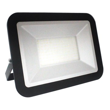 LED Proiector LED/100W/230V IP65