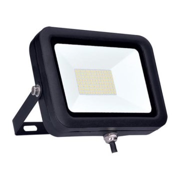 LED Proiector PRO LED/100W/230V IP65