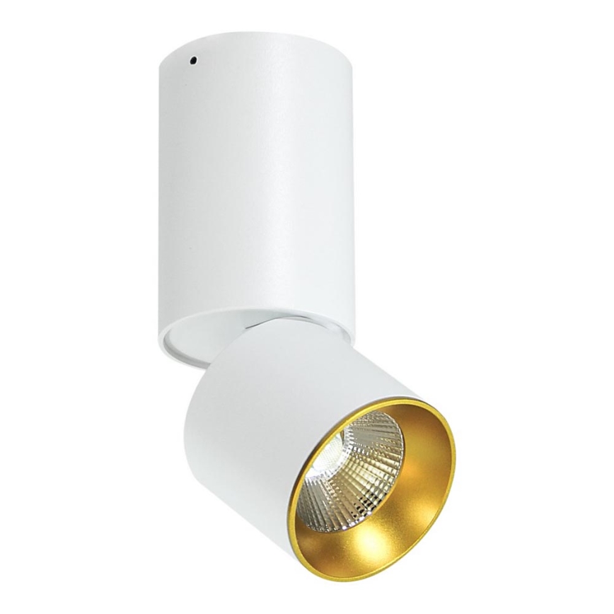 LED Spot de tavan LED/10W/230V