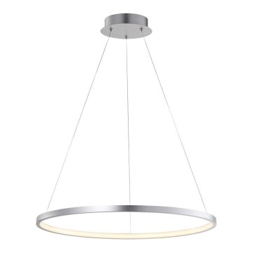 Leuchten Direkt 11524-21 - Lustră LED pe cablu CIRCLE LED/28,5W/230V