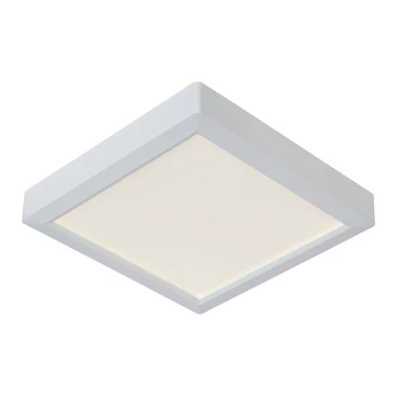 Lucide 07106/18/31 - Plafoniera TENDO-LED LED/18W/230V