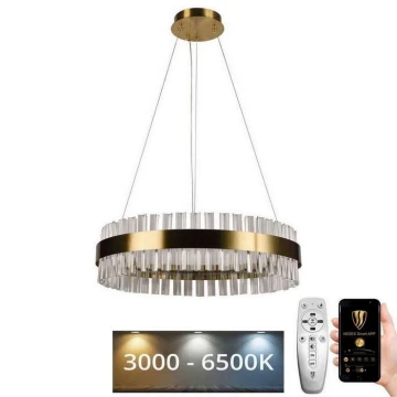 Lustră LED de cristal dimabilă pe cablu LED/40W/230V 3000-6500K + telecomandă