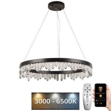 Lustră LED de cristal dimabilă pe cablu LED/40W/230V 3000-6500K + telecomandă