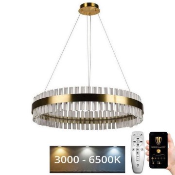 Lustră LED de cristal dimabilă pe cablu LED/55W/230V 3000-6500K + telecomandă