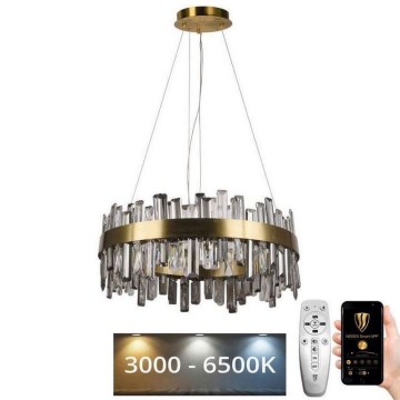 Lustră LED de cristal dimabilă pe cablu LED/80W/230V 3000-6500K + telecomandă