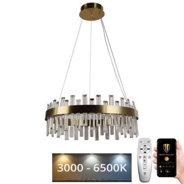 Lustră LED de cristal dimabilă pe cablu LED/80W/230V 3000-6500K + telecomandă