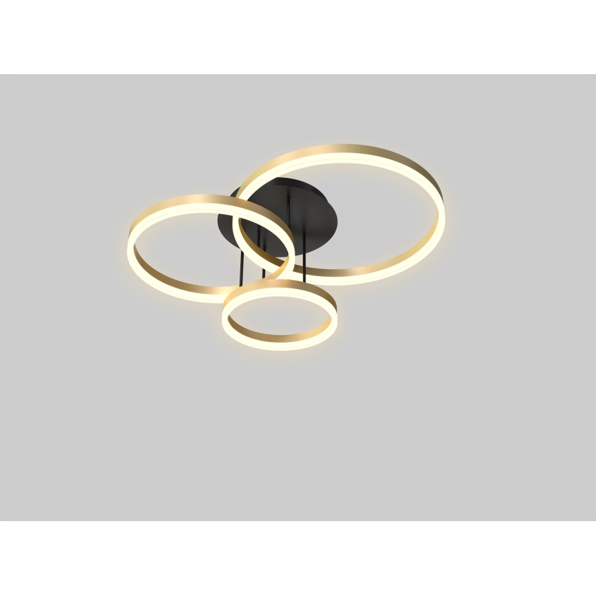 Lustră LED dimabilă aplicată Wofi 9049-401 PERPIGNAN LED/51W/230V auriu
