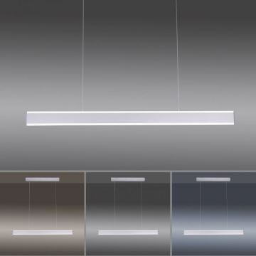 Lustră LED dimabilă pe cablu ARINA LED/20W/230V Paul Neuhaus 8363-55