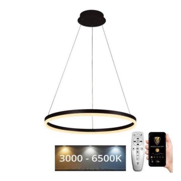 Lustră LED dimabilă pe cablu Brilagi CIRCLE LED/42W/230V 3000-6500K + telecomandă