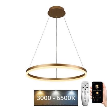 Lustră LED dimabilă pe cablu Brilagi CIRCLE LED/42W/230V 3000-6500K + telecomandă