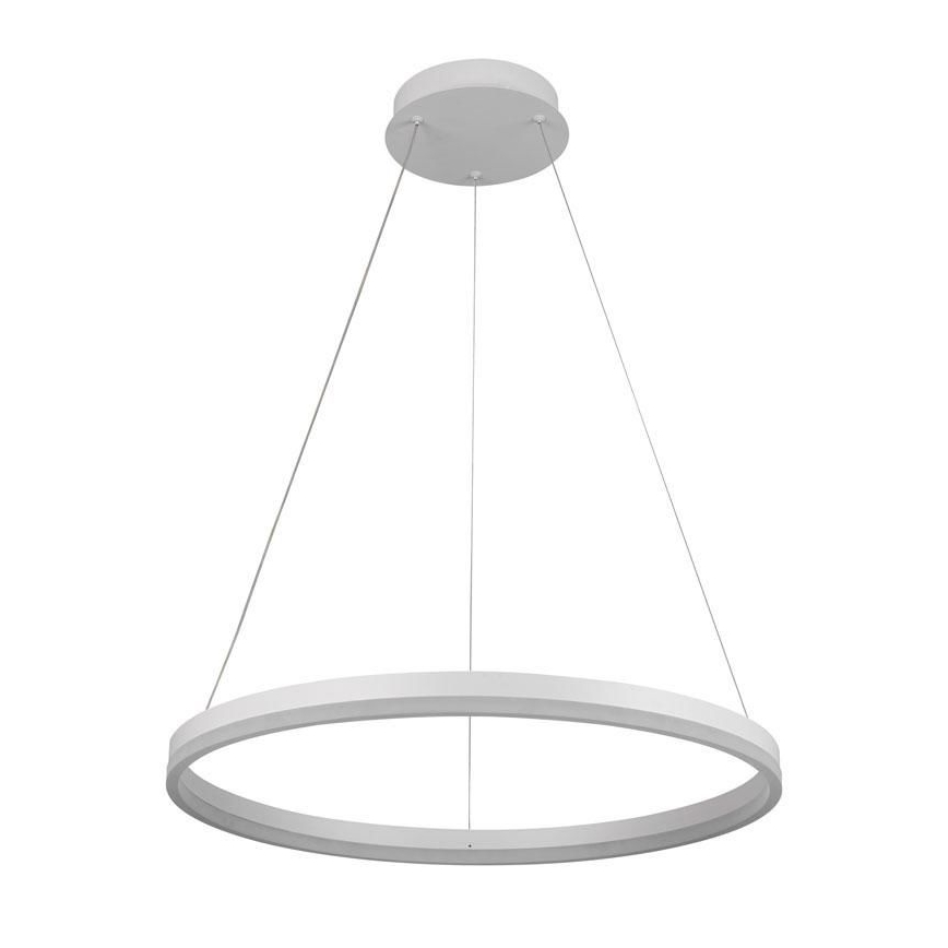 Lustră LED dimabilă pe cablu Brilagi CIRCLE LED/42W/230V 3000-6500K + telecomandă