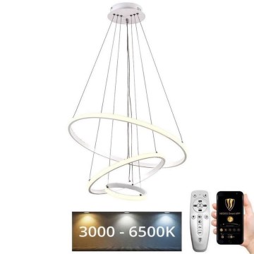 Lustră LED dimabilă pe cablu Brilagi CIRCLE LED/90W/230V 3000-6500K + telecomandă