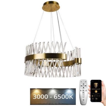 Lustră LED dimabilă pe cablu LED/130W/230V 3000-6500K auriu + telecomandă