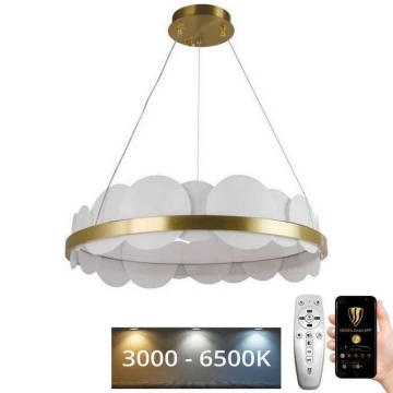 Lustră LED dimabilă pe cablu LED/40W/230V 3000-6500K auriu + telecomandă