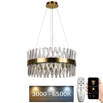 Lustră LED dimabilă pe cablu LED/80W/230V 3000-6500K auriu + telecomandă