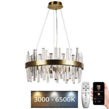 Lustră LED dimabilă pe cablu LED/80W/230V 3000-6500K auriu + telecomandă